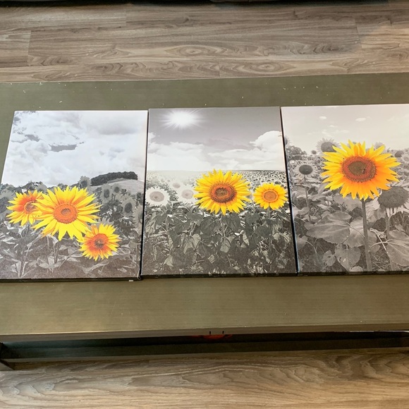 3 piece wall decor - Picture 1 of 1